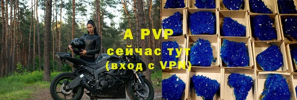 крисы Каменка
