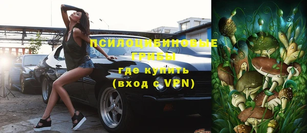 шишки Богданович