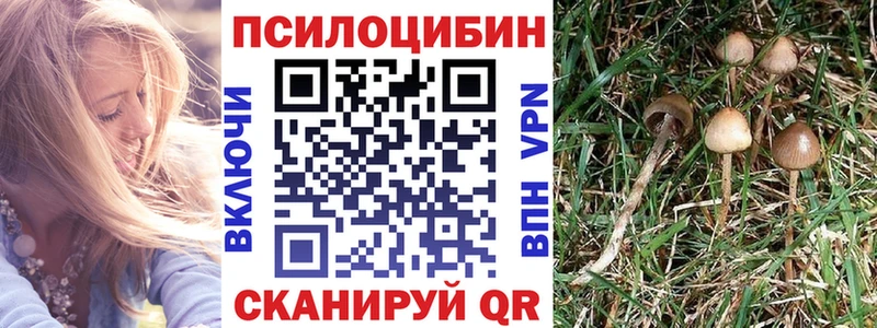 Галлюциногенные грибы MAGIC MUSHROOMS  мега ONION  Горно-Алтайск 